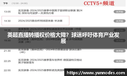 英超直播转播权价格大降？球迷呼吁体育产业发展