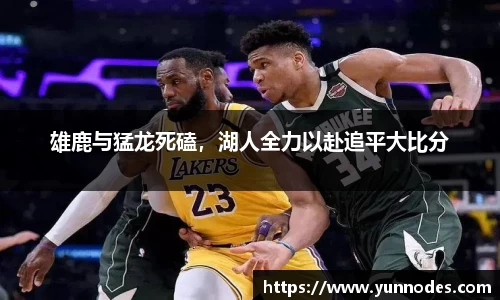 雄鹿与猛龙死磕，湖人全力以赴追平大比分