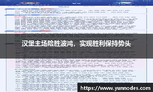 汉堡主场险胜波鸿，实现胜利保持势头