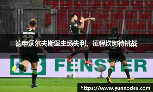 德甲沃尔夫斯堡主场失利，征程坎坷待挑战