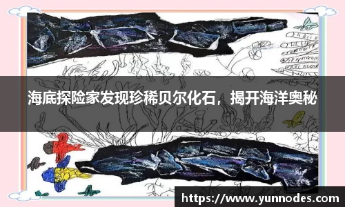 海底探险家发现珍稀贝尔化石,揭开海洋奥秘