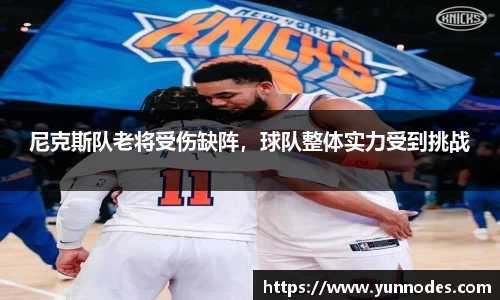 尼克斯队老将受伤缺阵，球队整体实力受到挑战