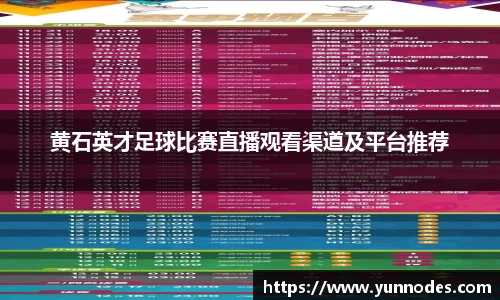 黄石英才足球比赛直播观看渠道及平台推荐