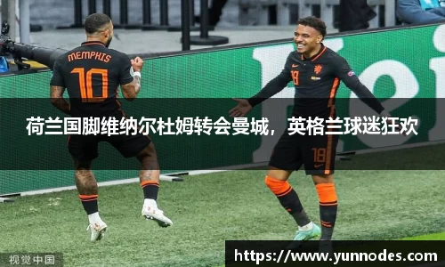 荷兰国脚维纳尔杜姆转会曼城，英格兰球迷狂欢